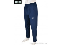 Спортивные брюки BIG