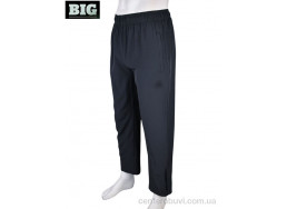 Спортивные брюки BIG