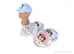 Кепка Кепочный стиль