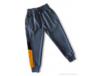 Спортивные брюки Kids-modnik
