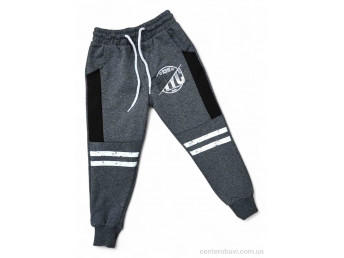 Спортивные брюки Kids-modnik