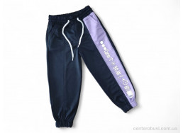 Спортивные брюки Kids-modnik
