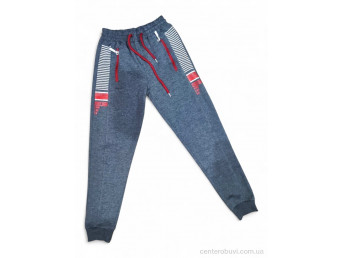 Спортивные брюки Kids-modnik
