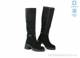 Сапоги Allshoes