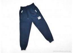 Спортивные брюки Kids-modnik