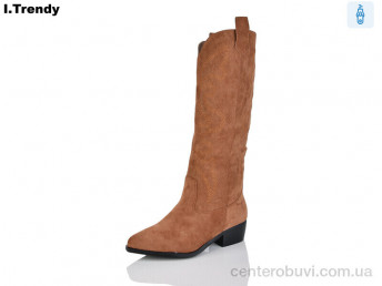 Сапоги Trendy