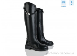 Сапоги Ailinda