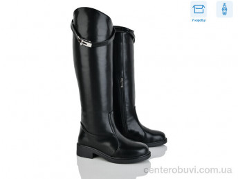 Сапоги Ailinda