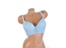 Бюстгальтер Мир