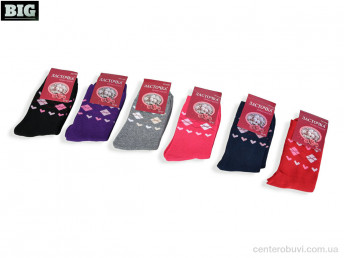 Носки BIG