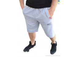 Шорты Sport style