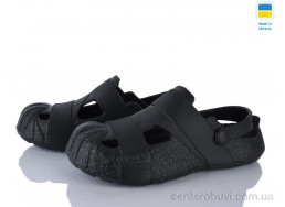 Кроксы Golden Lion