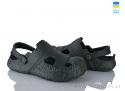 Кроксы Golden Lion