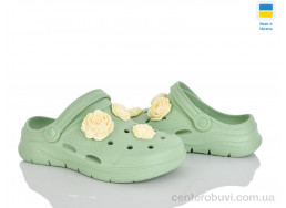 Кроксы Golden Lion