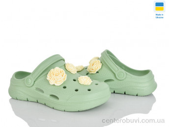 Кроксы Golden Lion