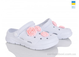 Кроксы Golden Lion