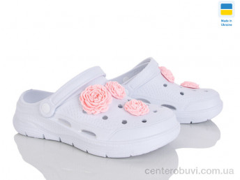 Кроксы Golden Lion