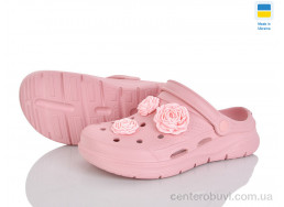 Кроксы Golden Lion