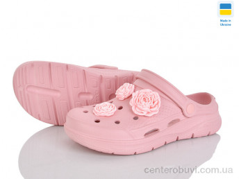 Кроксы Golden Lion