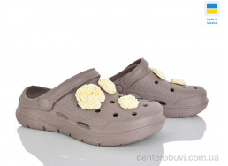 Кроксы Golden Lion