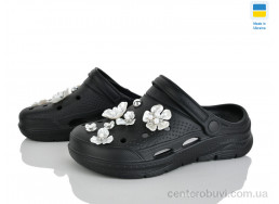 Кроксы Golden Lion