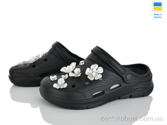 Кроксы Golden Lion