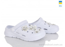 Кроксы Golden Lion