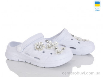 Кроксы Golden Lion