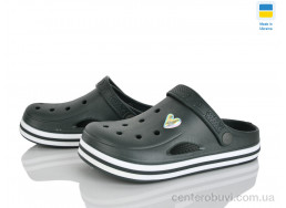 Кроксы Golden Lion