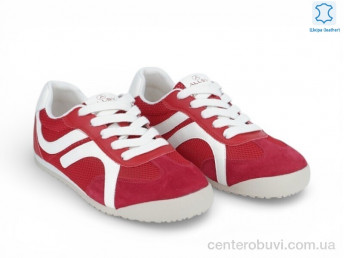 Кроссовки Allshoes