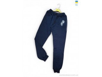 Спортивные брюки Sport style