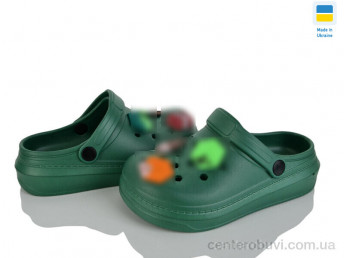 Кроксы Golden Lion