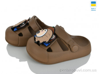 Кроксы Golden Lion