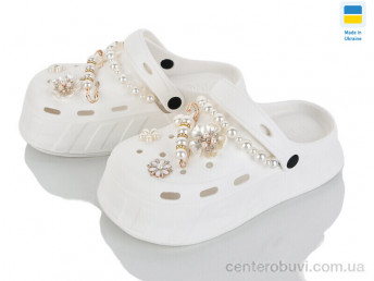 Кроксы Golden Lion