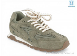 Кроссовки Allshoes