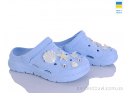 Кроксы Golden Lion