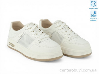 Кроссовки Allshoes