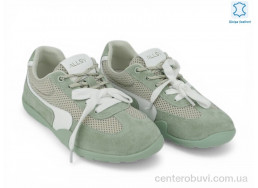 Кроссовки Allshoes