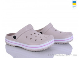 Кроксы Golden Lion