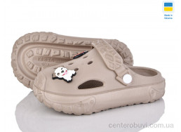 Кроксы Golden Lion