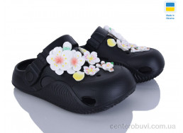 Кроксы Golden Lion