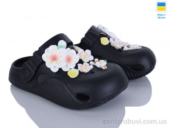 Кроксы Golden Lion