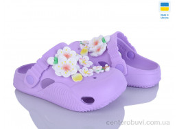 Кроксы Golden Lion