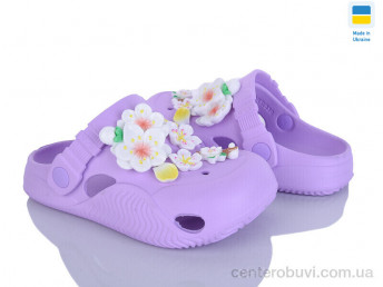 Кроксы Golden Lion