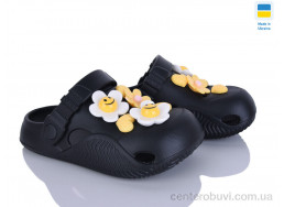 Кроксы Golden Lion