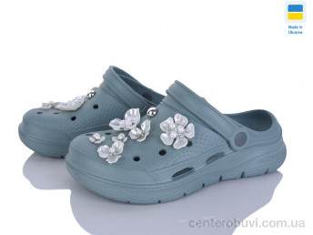 Кроксы Golden Lion