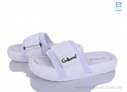 Шлепки Захар-Gold