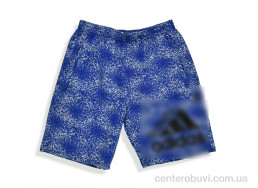 Шорты Денис спорт