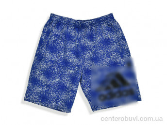 Шорты Денис спорт