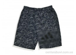 Шорты Денис спорт